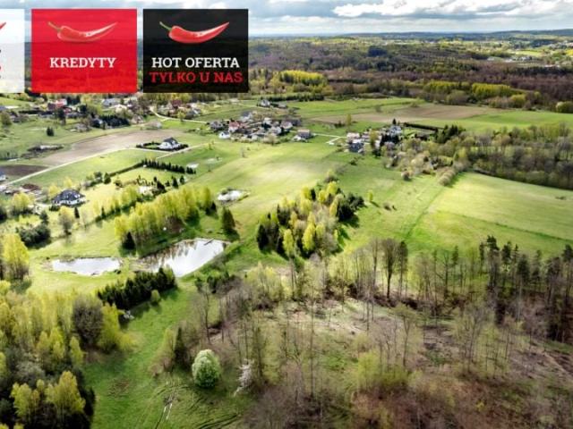 Lipowa 25 147 m², Jodłowno