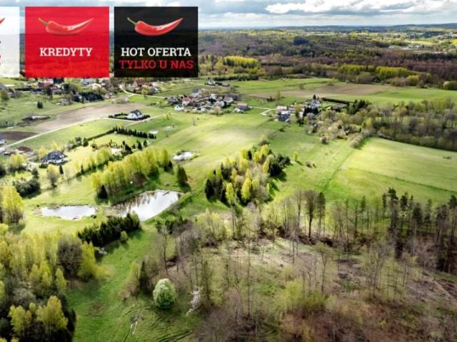 Lipowa 25 147 m², Jodłowno
