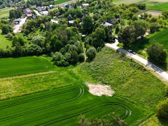 Lipowa 2 716 m², Kozierów