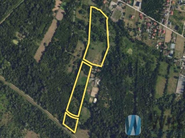 Lipowa 71 000 m², Skierdy