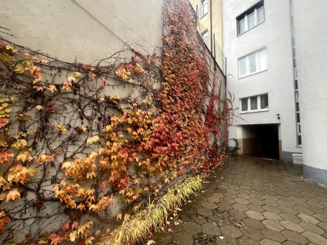 Lipowa 78 m², Łódź