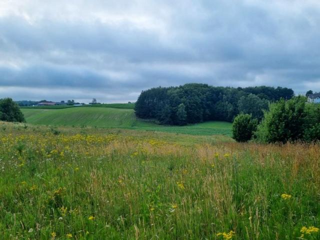 Lipowa 9 999 m², Nowa Wieś Przywidzka