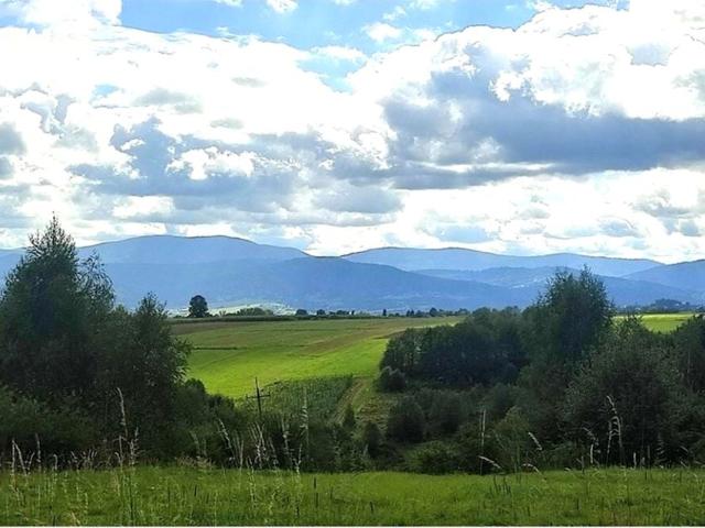Lipowska 2 008 m², Lipowa