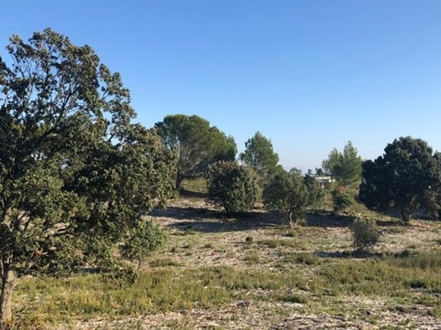 Lirac Vente Terrain 30