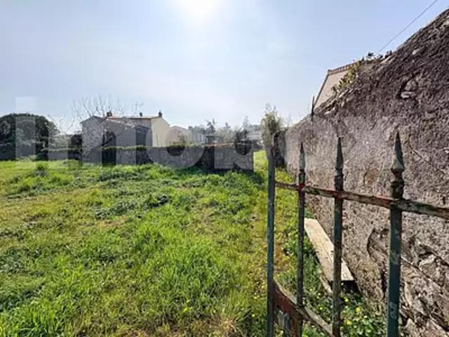 Liré 49530 Achat / Vente terrain