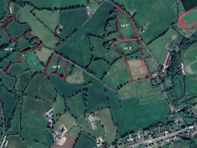 Lisanroe/Carn, Clones, Monaghan Noel Hall Auctioneer 4543 MyHome. Ie Residential