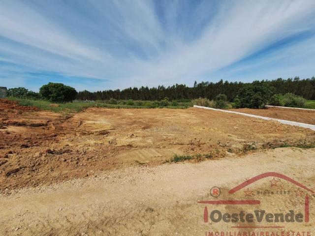 Lisboa Cadaval 2550 99283276