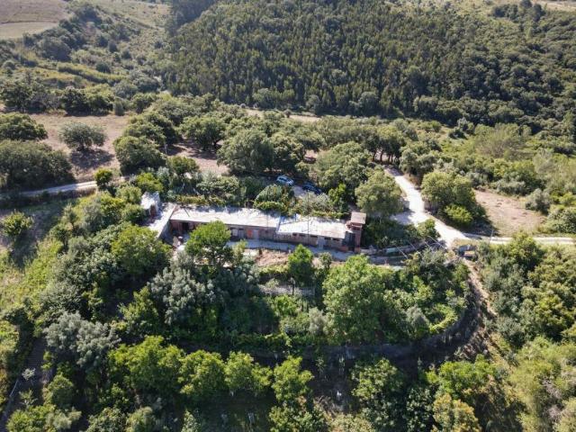 Lisboa Arruda dos Vinhos 2630 103301369