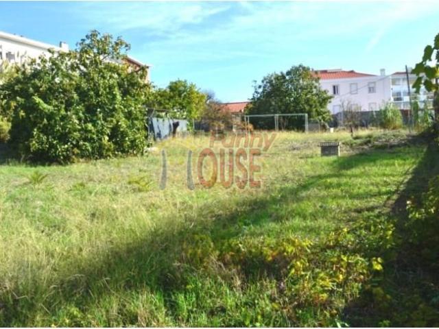 Lisboa Lisboa 1300 534 90020519