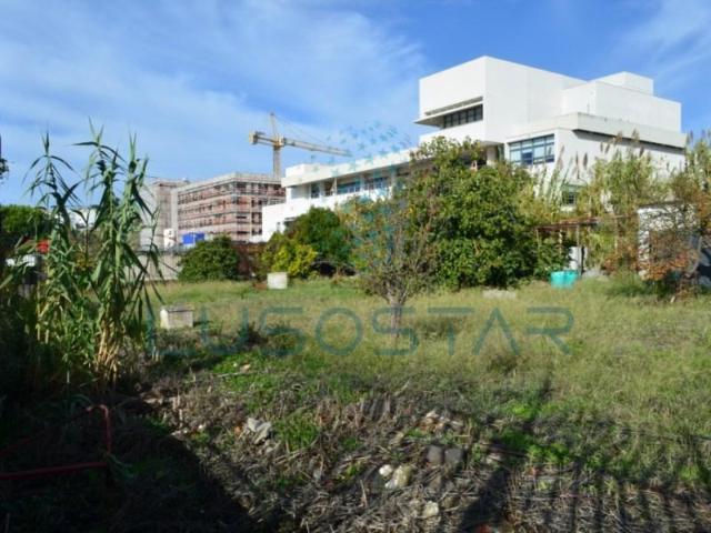 Lisboa Lisboa 87281543