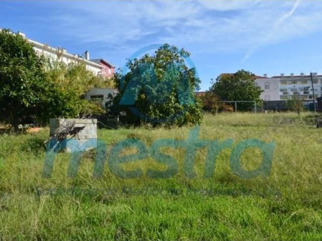 Lisboa Lisboa 97123211