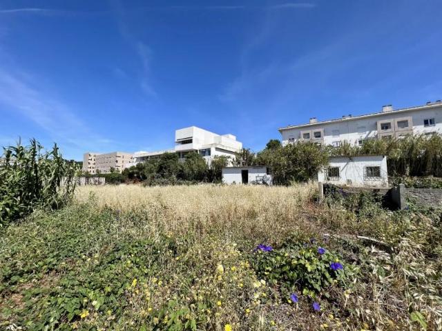 Lisboa Lisboa 92335906