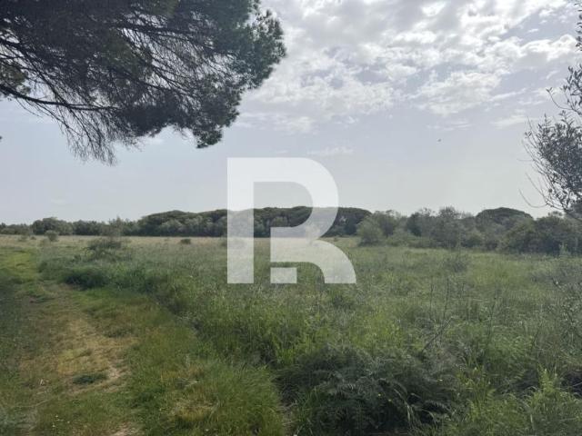 Lisboa Sintra 2705 LS102085773