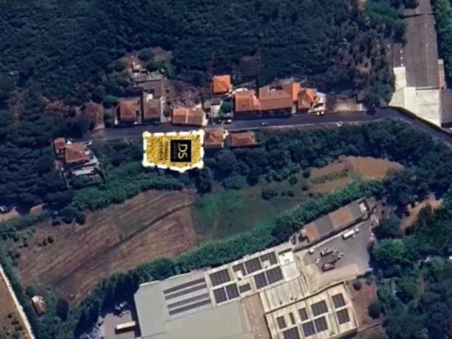 Lisboa Torres Vedras 103409986