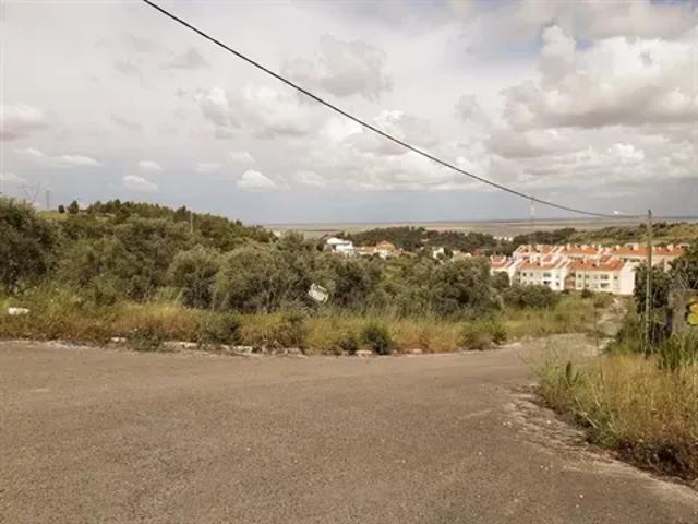 Lisboa Vila Franca de Xira 103540832