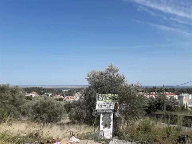 Lisboa Vila Franca de Xira 103540845