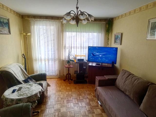 Lisia 55 m², Zielona Góra