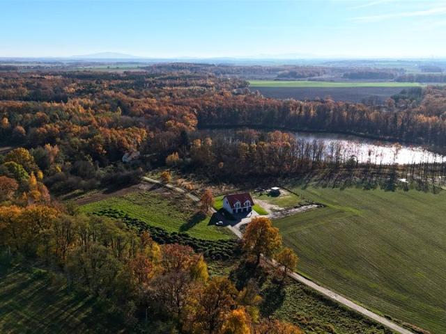Lisia 123 m², Wilczków