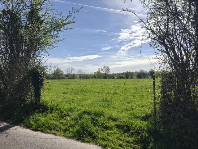 Lisieux Vente Terrain 14