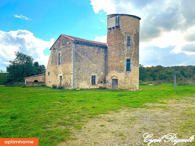 L'Isle Jourdain Vente Propriété/château 86