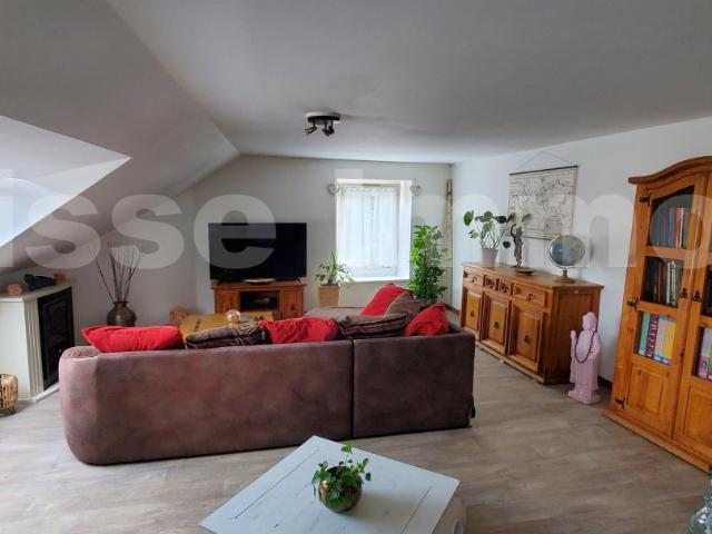 L'Isle sur le Doubs Vente Immeuble 25