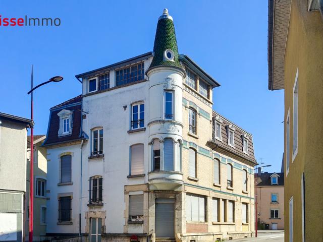 L'Isle sur le Doubs Vente Immeuble 25