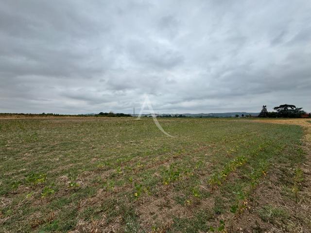Lisle sur Tarn Vente Terrain 81