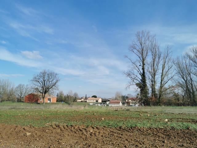 Lisle sur Tarn Vente Terrain 81