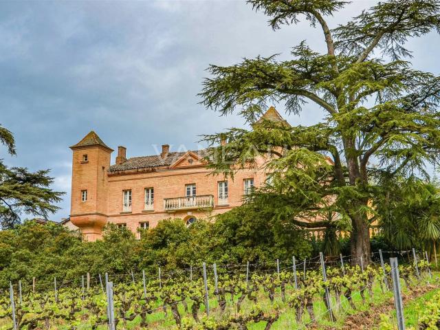 Lisle Sur Tarn Domaine Viticole d’exception au cœur de la T. 1710m² Lisle sur Tarn