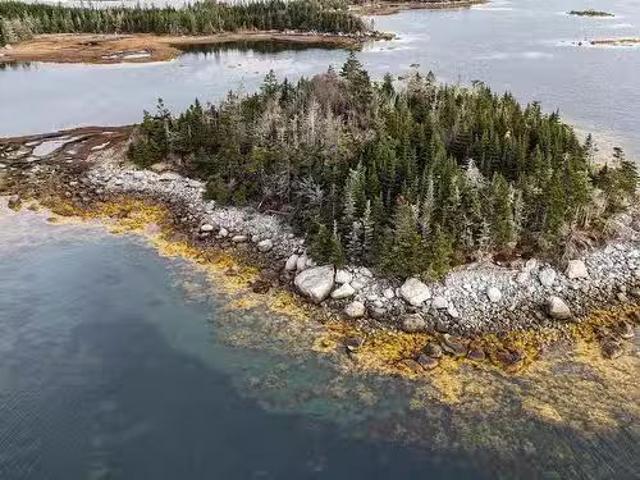 Little Militia Island, Bear Point, NS, B0W 3B0 vacant land f.