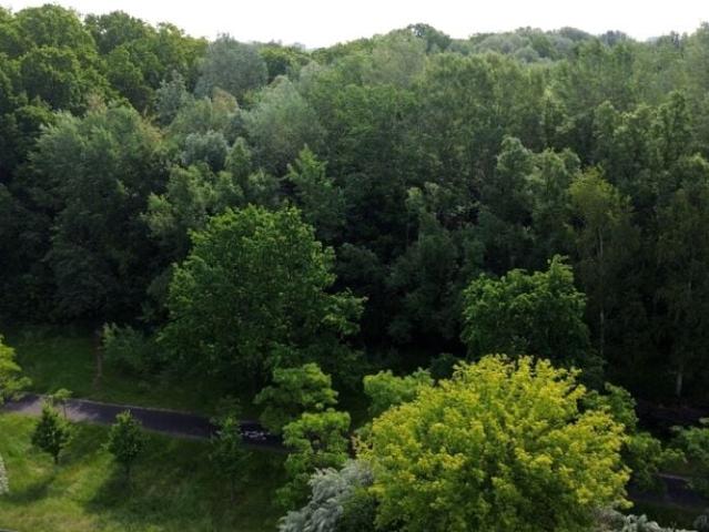 Litewska 849 m², Poznań