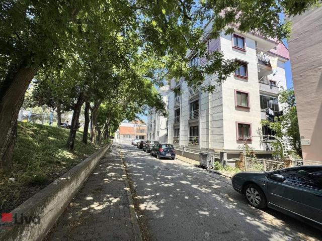 ▓liva Dan Paşaalanı Tarafı Önü Park Alanı Arakat Lüx 3+1▓
