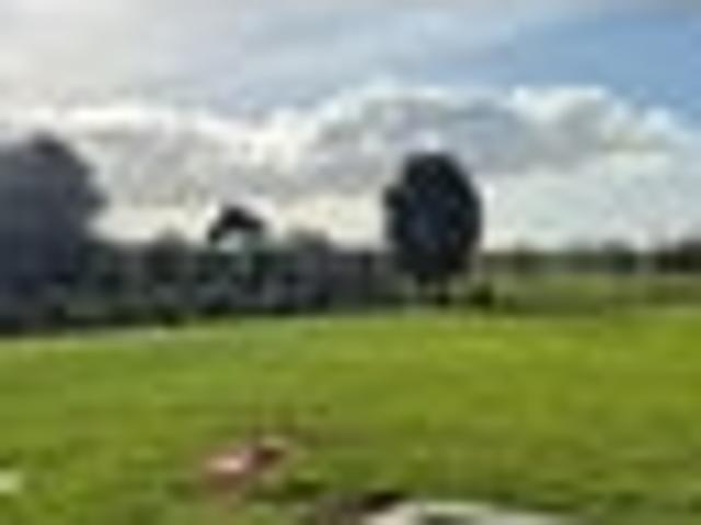 Live a Good Life in Waipu – escape the city!