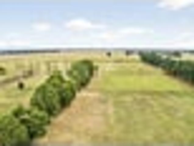 Livestock Finishing and Trading Block