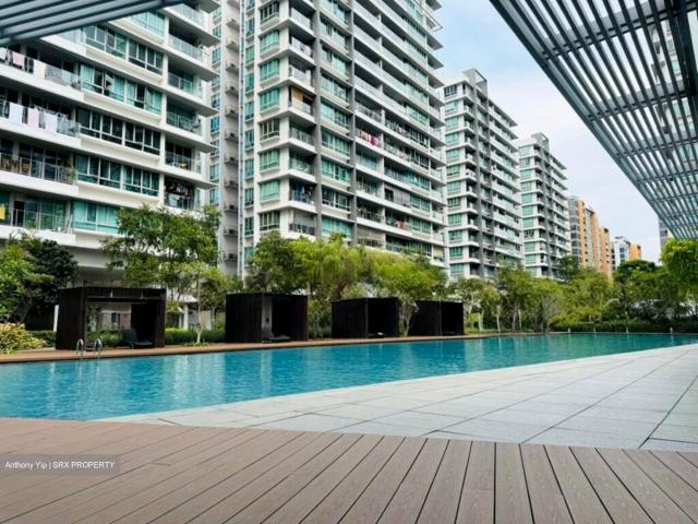 Livia D18, Condominium
