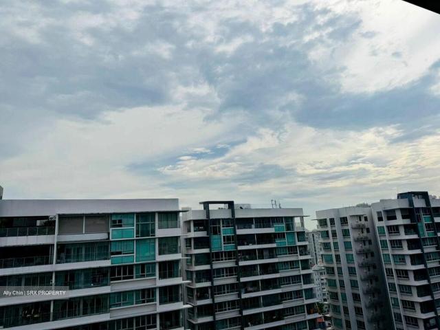 Livia D18, Condominium