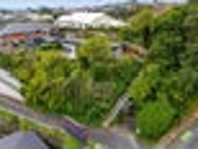 living among the treetops