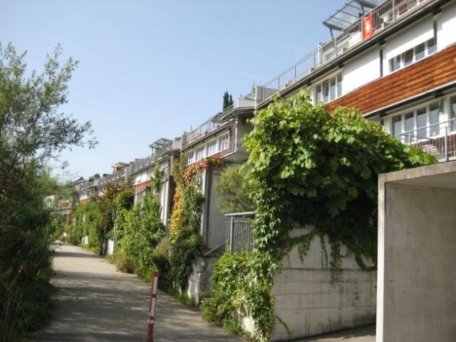Living at Zürchermatte
