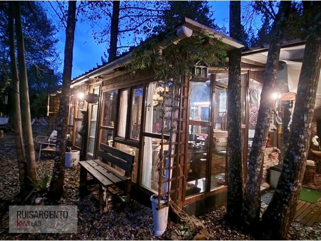 Living in nature by the river, 25km from Castelo Branco