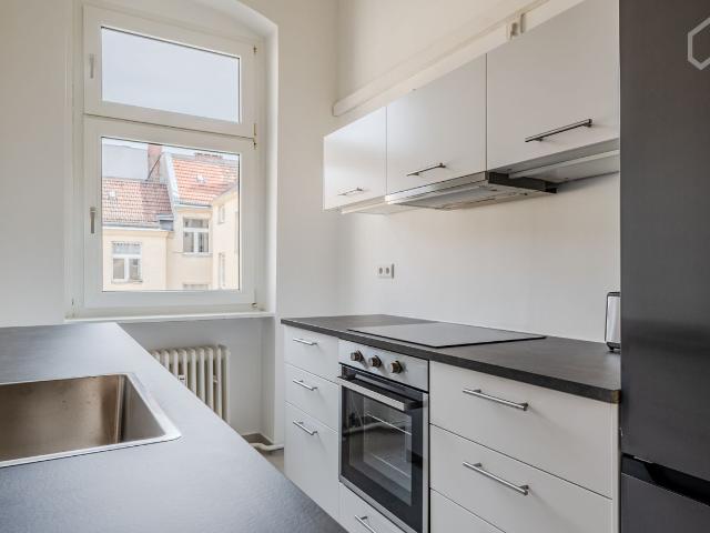 Living in the Sprengelkiez neighborhood, Berlin Amsterdam Apartments for Rent