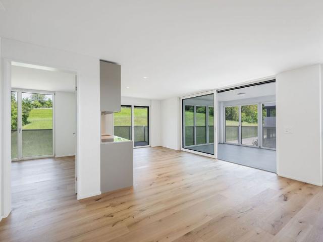 Living with your own roof terrace – a dream above Zurich