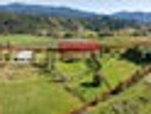 Living the Dream in Lower Moutere