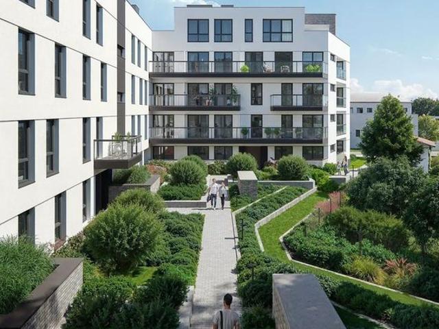 Livo