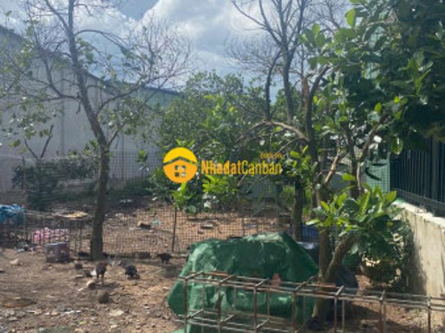 Lô đất giá rẽ đầu tư tại tân uyên bình dương 310m2 chỉ nhỉnh 2 tỷ