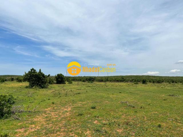 Lô đất không có điểm trừ, mặt tiền khu farm hòa thắng, diện tích 11656m2. Liên hệ xem sổ0919626