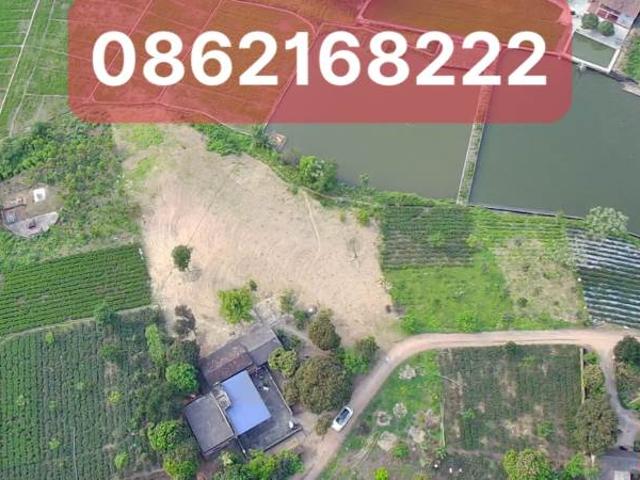 Lô đất phù hợp xây biệt thự nghỉ dưỡng, homestay đầu tư sinh lời