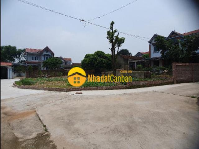 Lô góc siêu hời tại đồi chè, hồng kỳ, sóc sơn