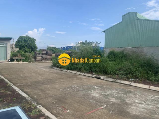 Lô góc đấu giá cát lư, chỉ đạo. 101m, giá cực đẹp, ưu đãi lớn lh 0835459