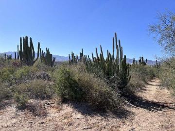 Lomas de Playa Sur Lot 3 La Ventana BCS