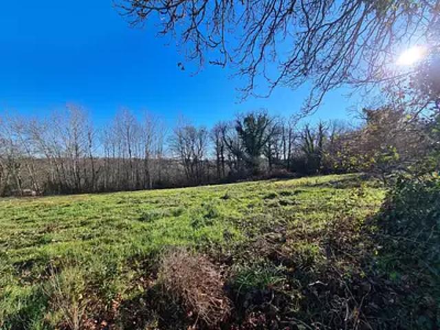 Lonçon 64410 Achat / Vente terrain